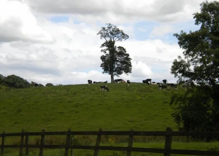 Hotel Riverside House 3*